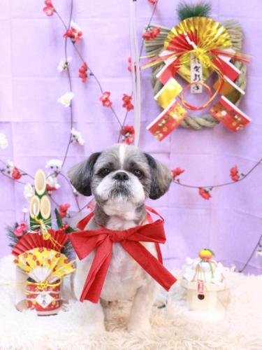 20230125リュウくん